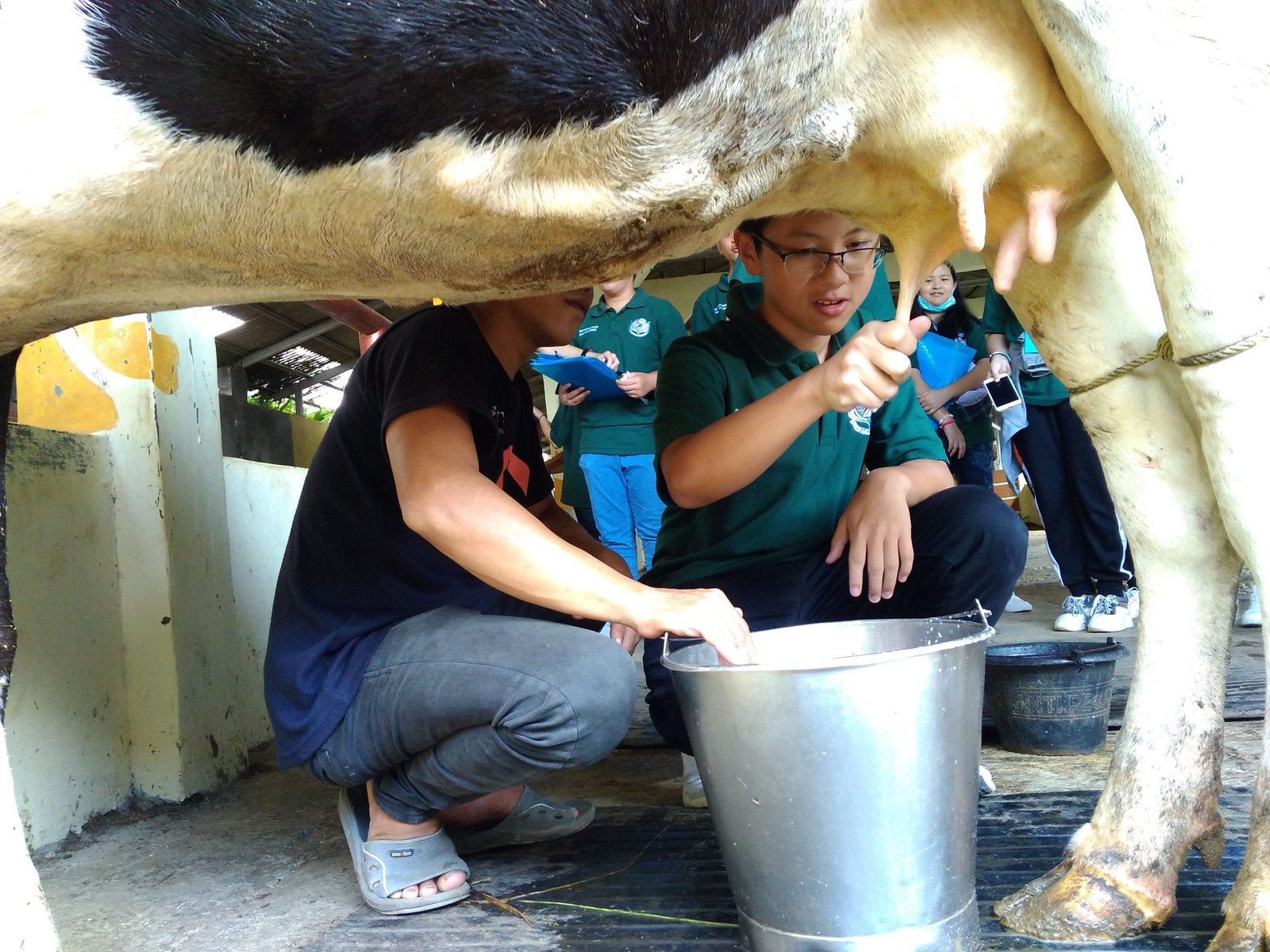 Wisata Edukatif : Sentulfresh Pilihan Yang Tepat - Sentulfresh