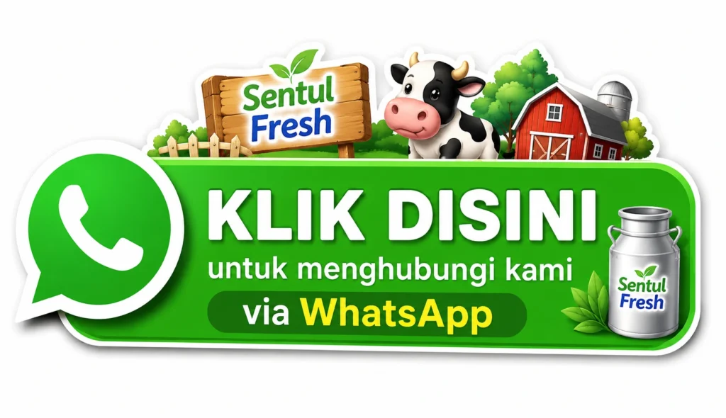 hubungi kami