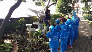 Tempat Wisata Untuk Sekolah TK tanaman
