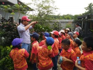 Wisata Edukasi TK dan SD tanaman