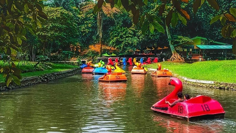 Wisata Di Jakarta : Yuk  Main Ke Kebun Binatang Ragunan